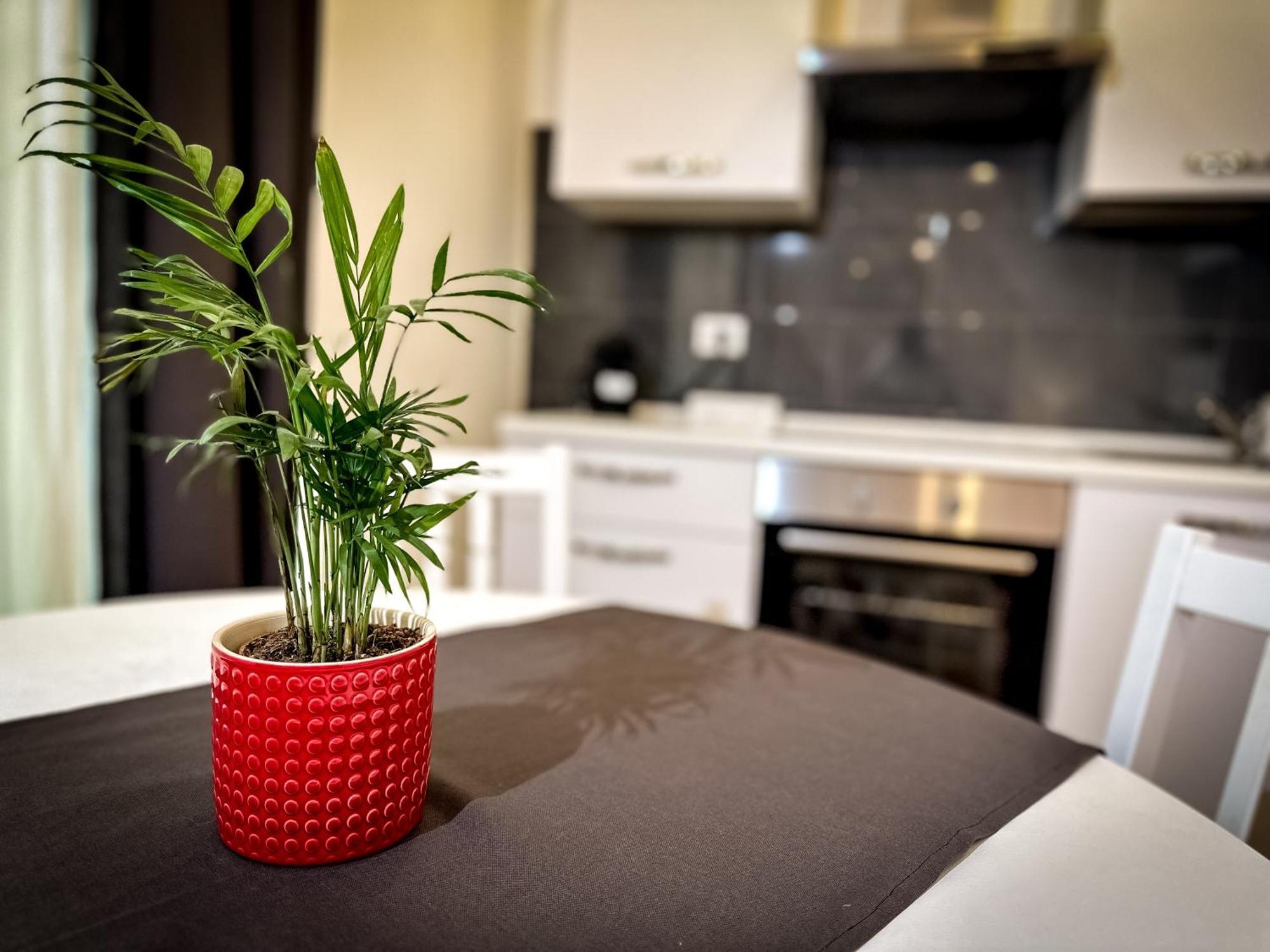 Da Rossella Apartment Рим Екстериор снимка